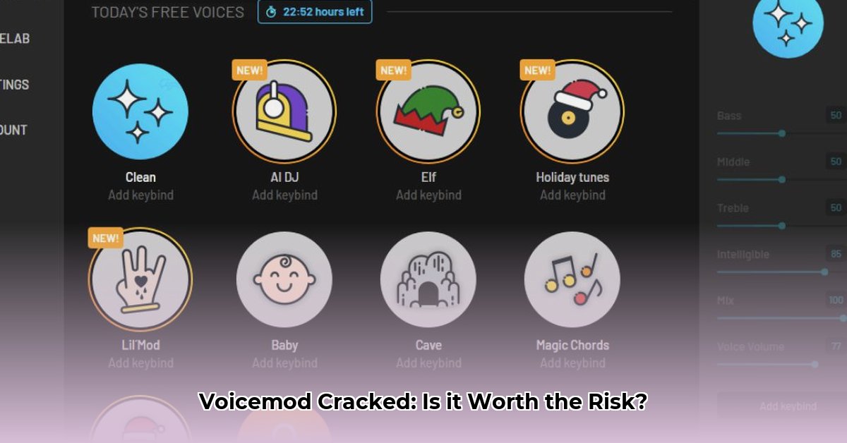 voicemod-pirated